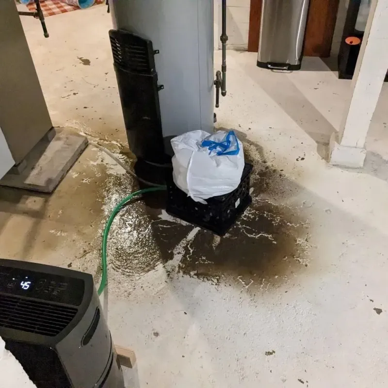 Sewage Backup Cleanup Service in Countryside, IL